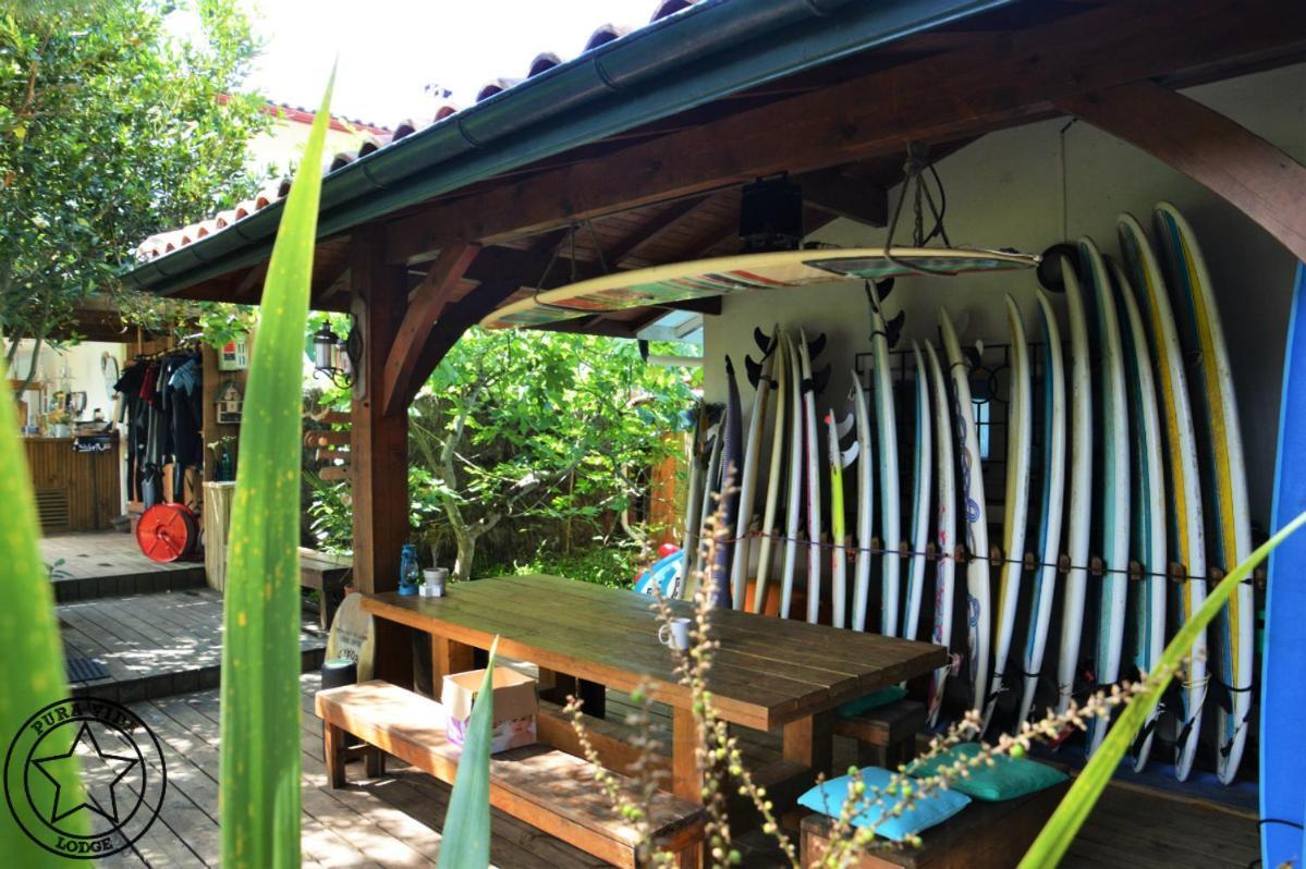 Pura Vida Lodge มีมีซ็อง-ปลาจ ภายนอก รูปภาพ