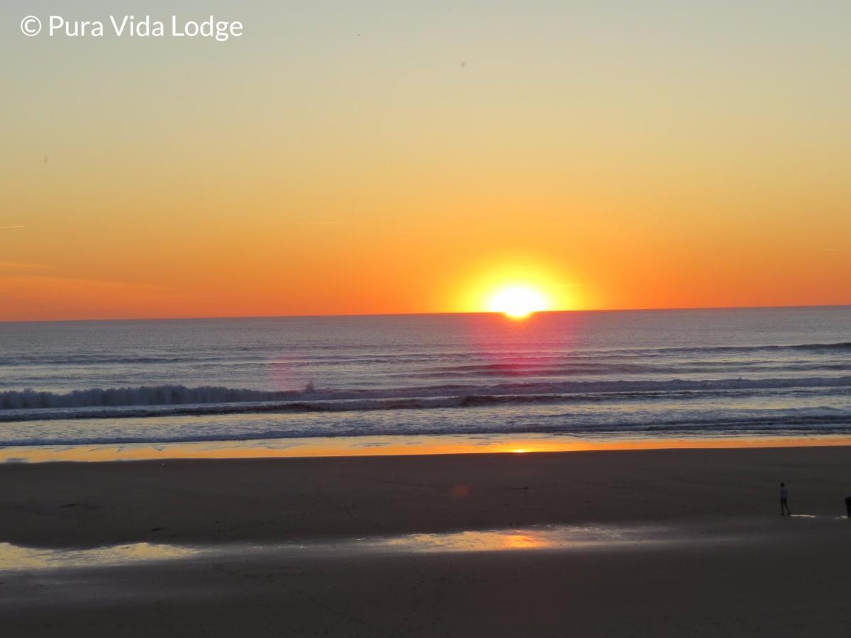 Pura Vida Lodge มีมีซ็อง-ปลาจ ภายนอก รูปภาพ